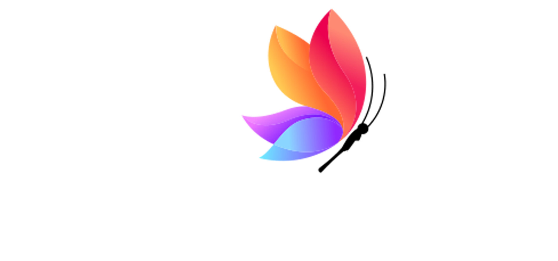 nexacolours | p&c consultants  | palakkad 